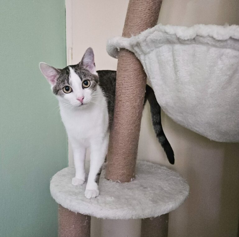 Gabby